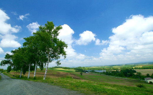 453209 (a): :1440x900